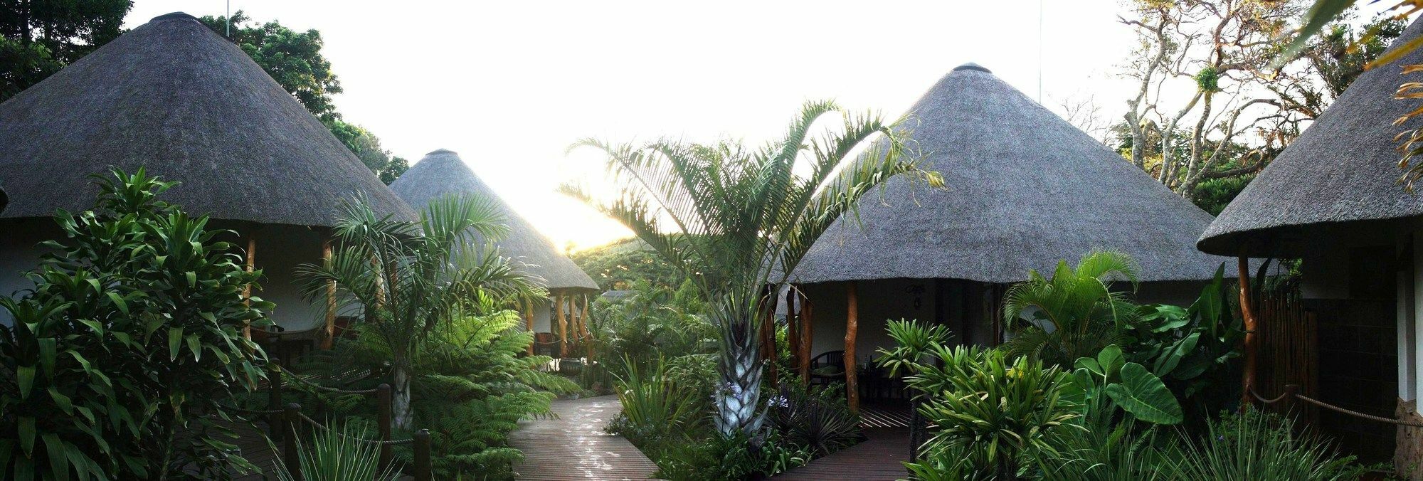 Afrique *